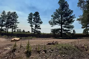 2142 Shaded Spg Trl, Flagstaff, AZ 86005 - Photo 1