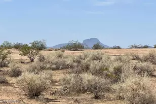 7825 S 350th Ave, Tonopah, AZ 85354 - Photo 1