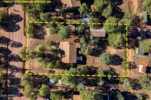 2927 Wildcat Trail, Overgaard, AZ 85933 - Photo 27