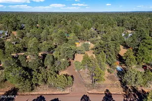 2927 Wildcat Trail, Overgaard, AZ 85933 - Photo 29