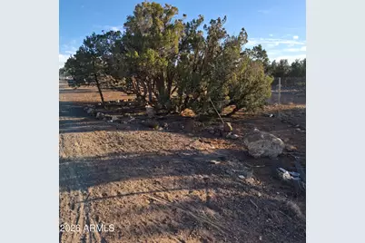 690 Cr 8235 Drive, Concho, AZ 85924 - Photo 11