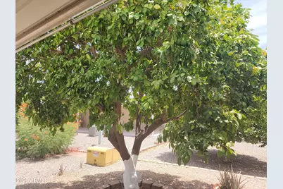 3819 N Wisconsin Avenue, Florence, AZ 85132 - Photo 141