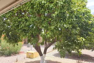 3819 N Wisconsin Ave, Florence, AZ 85132 - Photo 141