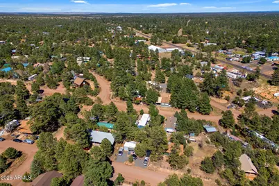 3490 Black Bear Run, Overgaard, AZ 85933 - Photo 35