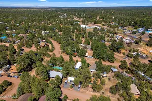 3490 Black Bear Run, Overgaard, AZ 85933 - Photo 35