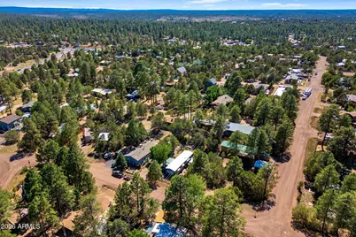 3490 Black Bear Run, Overgaard, AZ 85933 - Photo 33