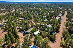 3490 Black Bear Run, Overgaard, AZ 85933 - Photo 33