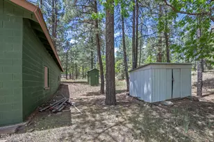 2132 W Pine Valley Rd, Happy Jack, AZ 86024 - Photo 7
