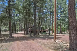 2132 W Pine Valley Rd, Happy Jack, AZ 86024 - Photo 9