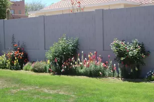 16022 N 17th Pl, Phoenix, AZ 85022 - Photo 5