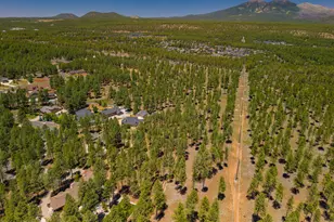 2300 W Kiltie Ln, Flagstaff, AZ 86005 - Photo 41