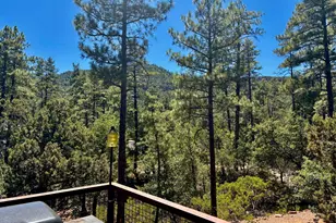 6719 W Pine Cone Trail, Pine, AZ 85544 - Photo 47