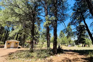 5577 Big Game Trail, Flagstaff, AZ 86005 - Photo 25
