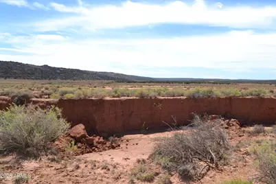 Lots 18,19 N8577 -- #18, Concho, AZ 85924 - Photo 9