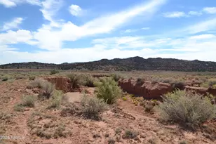 Lots 18 19 N8577 --, Concho, AZ 85924 - Photo 1