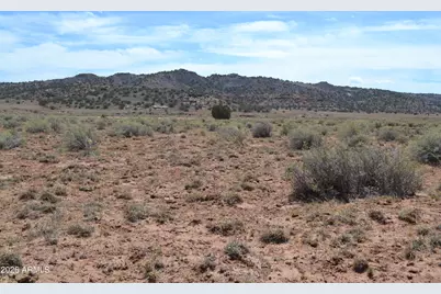 Lots 18,19 N8577 -- #18, Concho, AZ 85924 - Photo 11