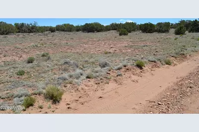 Tbd N8604 -- #1, Concho, AZ 85924 - Photo 3
