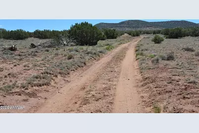 Tbd N8604 -- #1, Concho, AZ 85924 - Photo 1