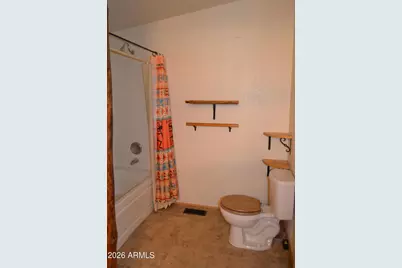 82 County Road 5020 --, Snowflake, AZ 85937 - Photo 9