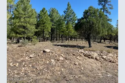 4214 Juniper Drive #46, Happy Jack, AZ 86024 - Photo 5