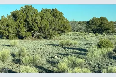 910 County Rd N6657 -- #-, Saint Johns, AZ 85936 - Photo 9