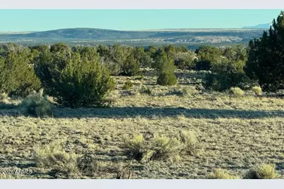 910 County Rd N6657 -- #-, Saint Johns, AZ 85936 - Photo 11