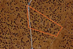 18 N5417, Concho, AZ 85924 - Photo 17