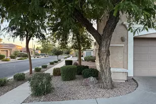 642 E Torrey Pines Pl, Chandler, AZ 85249 - Photo 9