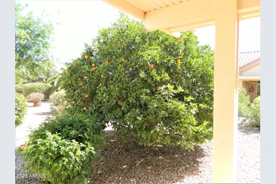14311 W Colt Lane, Sun City West, AZ 85375 - Photo 11