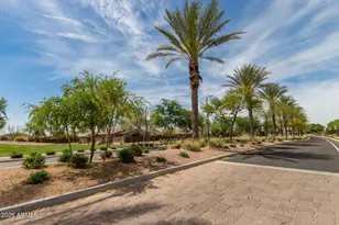 528 W Evergreen Pear Ave, San Tan Valley, AZ 85140 - Photo 53