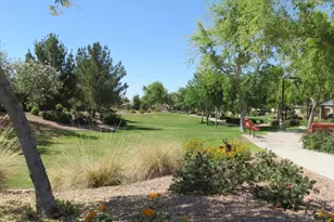 528 W Evergreen Pear Ave, San Tan Valley, AZ 85140 - Photo 45