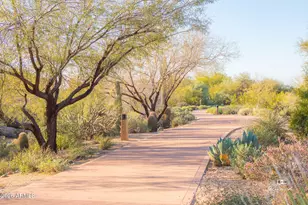 9572 E Mountain Spring Rd, Scottsdale, AZ 85255 - Photo 47