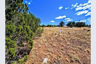 8546 Silver Creek Drive #44, Show Low, AZ 85901 - Photo 3