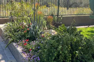 2259 W River Rock Trail, Phoenix, AZ 85086 - Photo 41