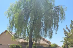 1064 S Jesse Pl, Chandler, AZ 85286 - Photo 21