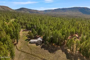 22 County Road 2082 --, Alpine, AZ 85920 - Photo 37