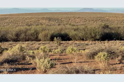 Lot 445 Carrizo Ranch -- #445, Saint Johns, AZ 85936 - Photo 11