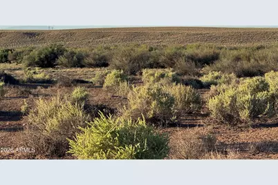 Lot 445 Carrizo Ranch -- #445, Saint Johns, AZ 85936 - Photo 9