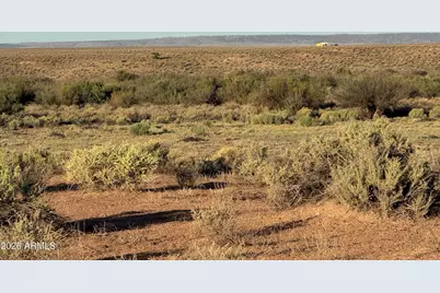 Lot 445 Carrizo Ranch -- #445, Saint Johns, AZ 85936 - Photo 13