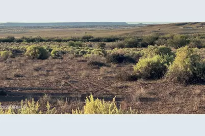 Lot 445 Carrizo Ranch -- #445, Saint Johns, AZ 85936 - Photo 7