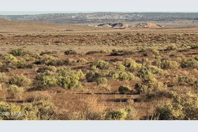 Lot 445 Carrizo Ranch -- #445, Saint Johns, AZ 85936 - Photo 17