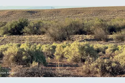 Lot 445 Carrizo Ranch -- #445, Saint Johns, AZ 85936 - Photo 15