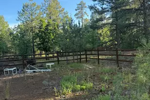 4220 Pinetree Ln, Pinetop, AZ 85935 - Photo 3