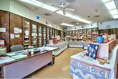 10020 W Cumberland Drive, Sun City, AZ 85351 - Photo 45