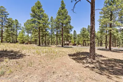 1939 E Bare Oak Loop #238, Flagstaff, AZ 86005 - Photo 11