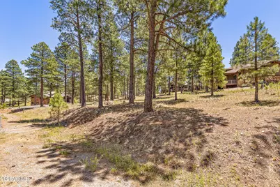 1939 E Bare Oak Loop #238, Flagstaff, AZ 86005 - Photo 7