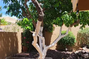 9100 E Winchcomb Dr, Scottsdale, AZ 85260 - Photo 23