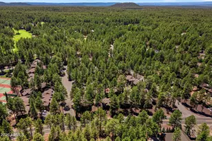 2860 Park Cir, Pinetop, AZ 85935 - Photo 27