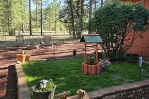 2903 Pinon Pine Dr, Show Low, AZ 85901 - Photo 11