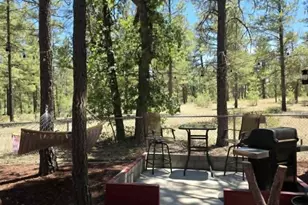 2903 Pinon Pine Dr, Show Low, AZ 85901 - Photo 23